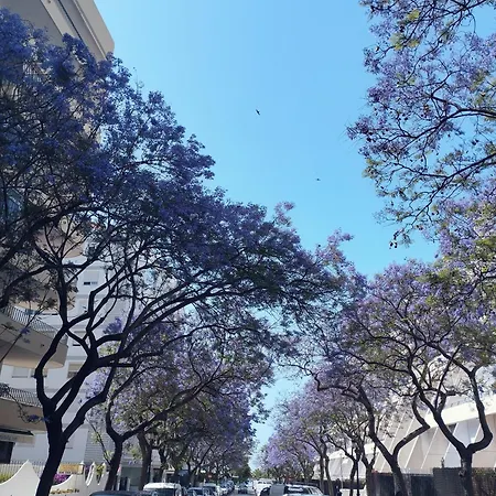 Appartement Centro Marbella