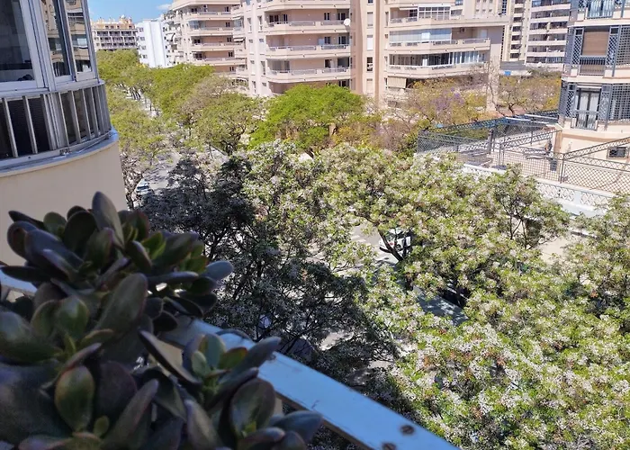 Centro Marbella